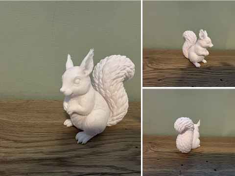 3D-gedrucktes Eichhörnchen aus mehreren Perspektiven
